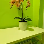 아파트 Aurora Sea Breeze